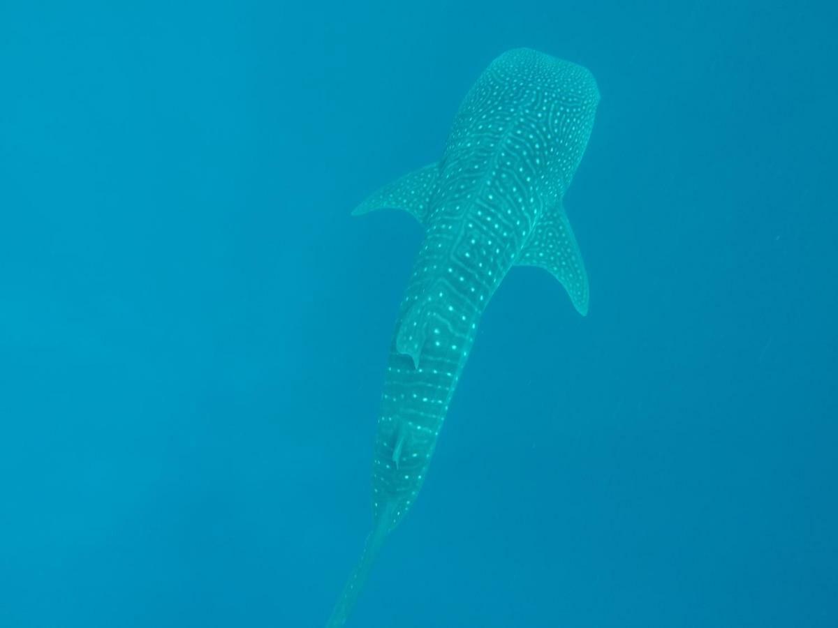 Vakarufalhi Maldives Dhangethi Dış mekan fotoğraf