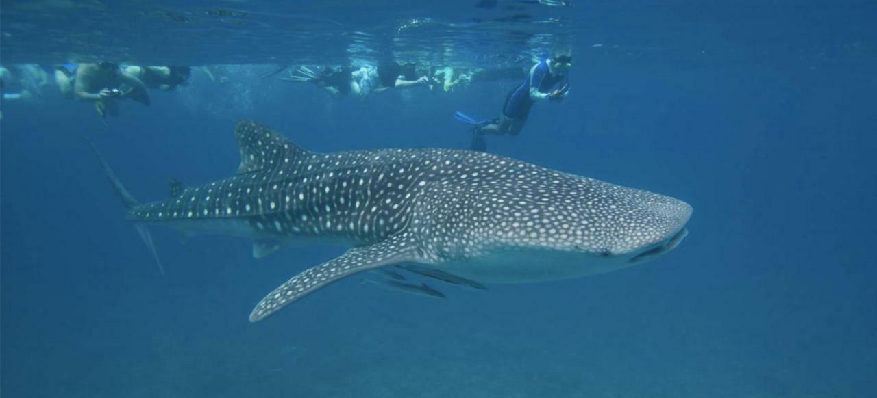 Vakarufalhi Maldives Dhangethi Dış mekan fotoğraf