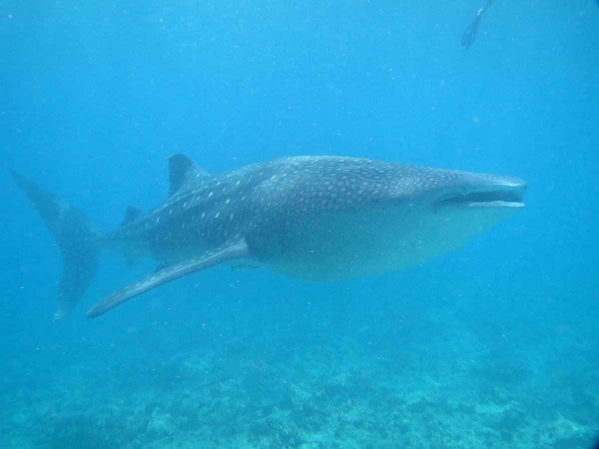 Vakarufalhi Maldives Dhangethi Dış mekan fotoğraf