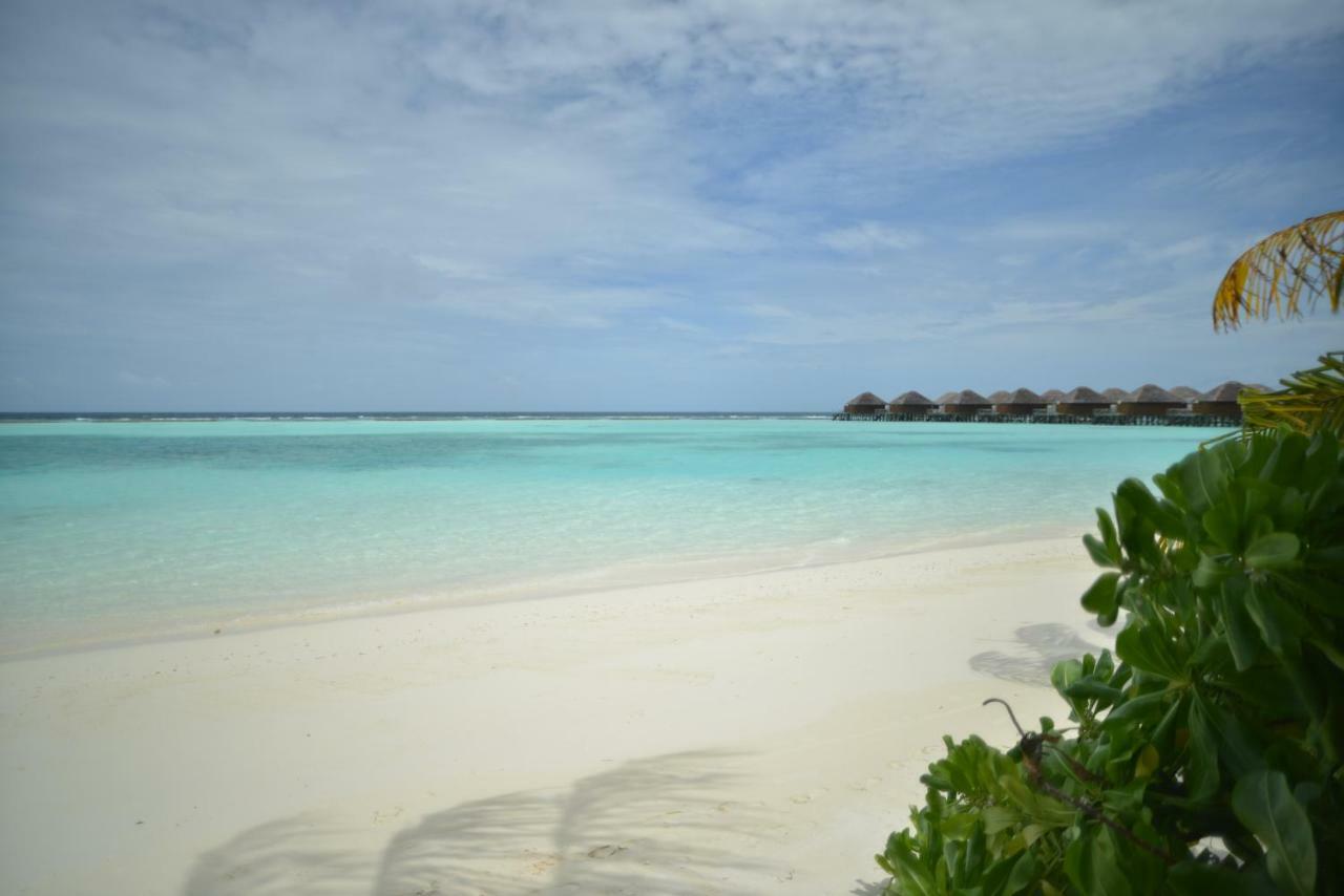 Vakarufalhi Maldives Dhangethi Dış mekan fotoğraf